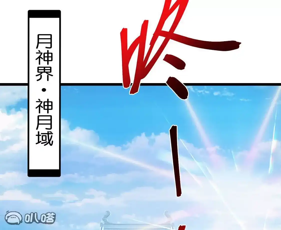 第446页