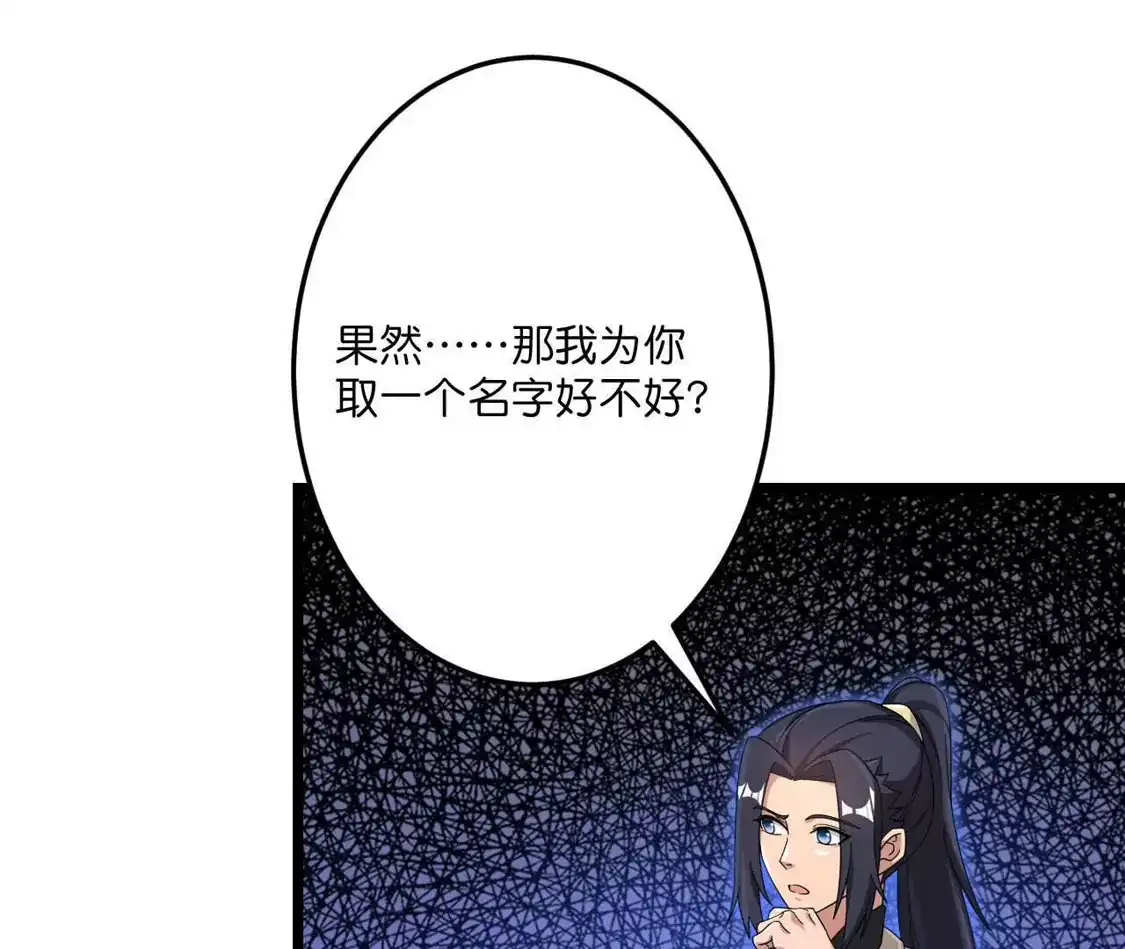 第219页