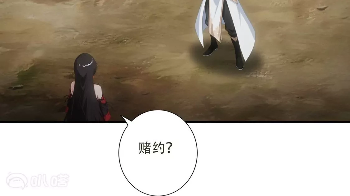 第205页