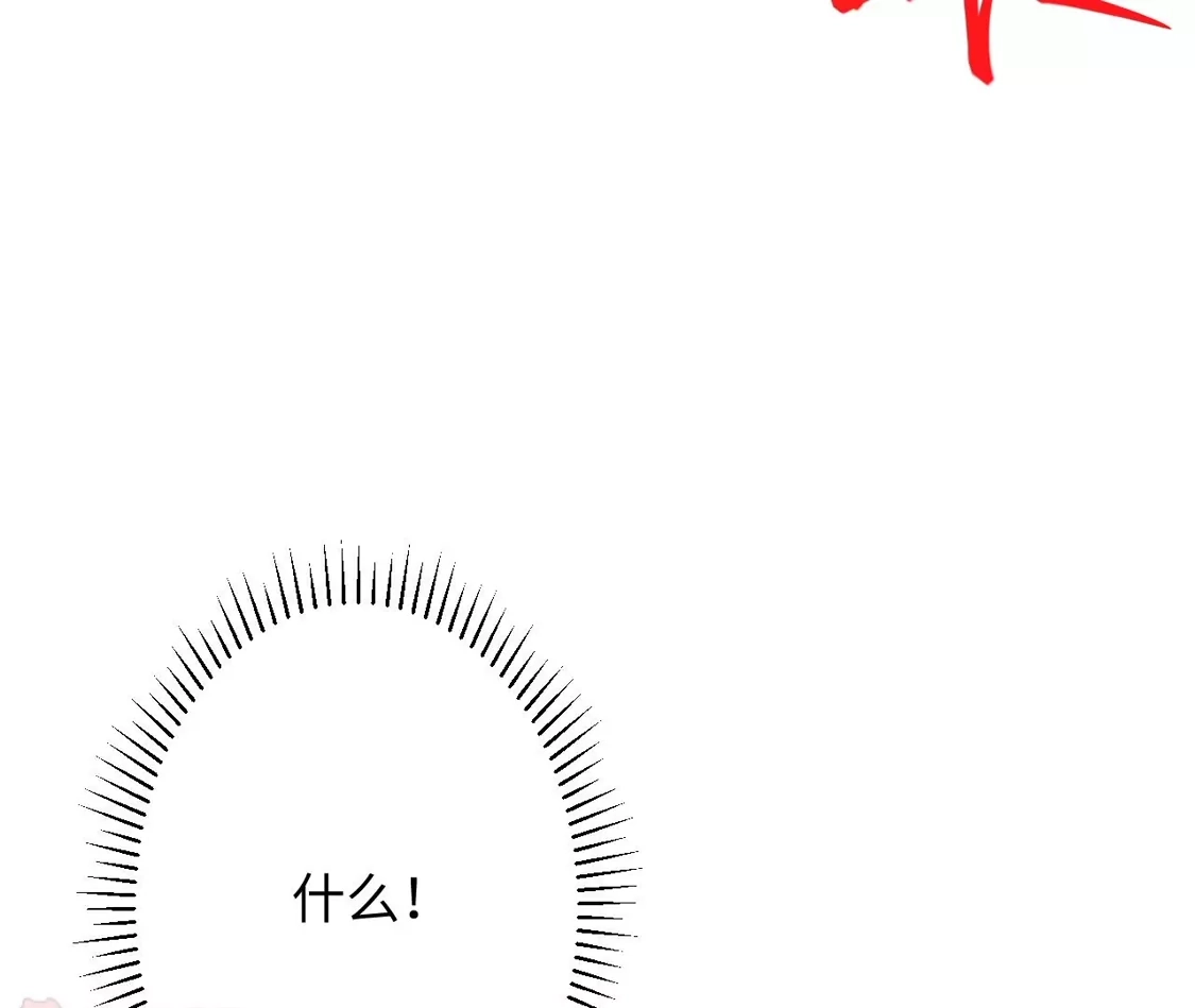 第238页