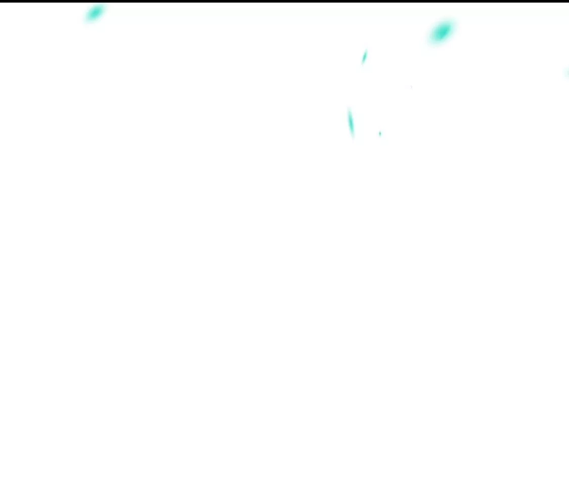 第204页