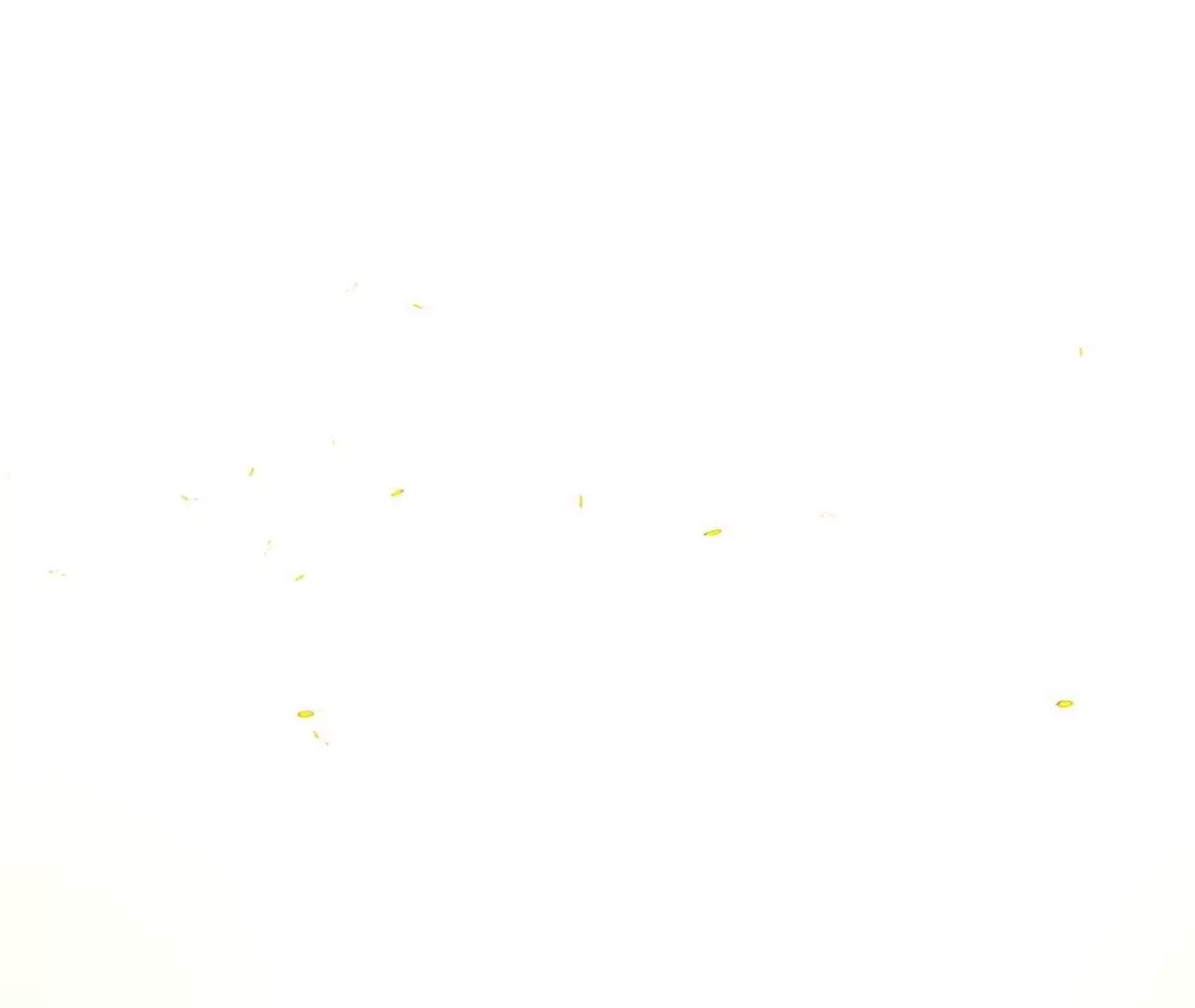 第184页