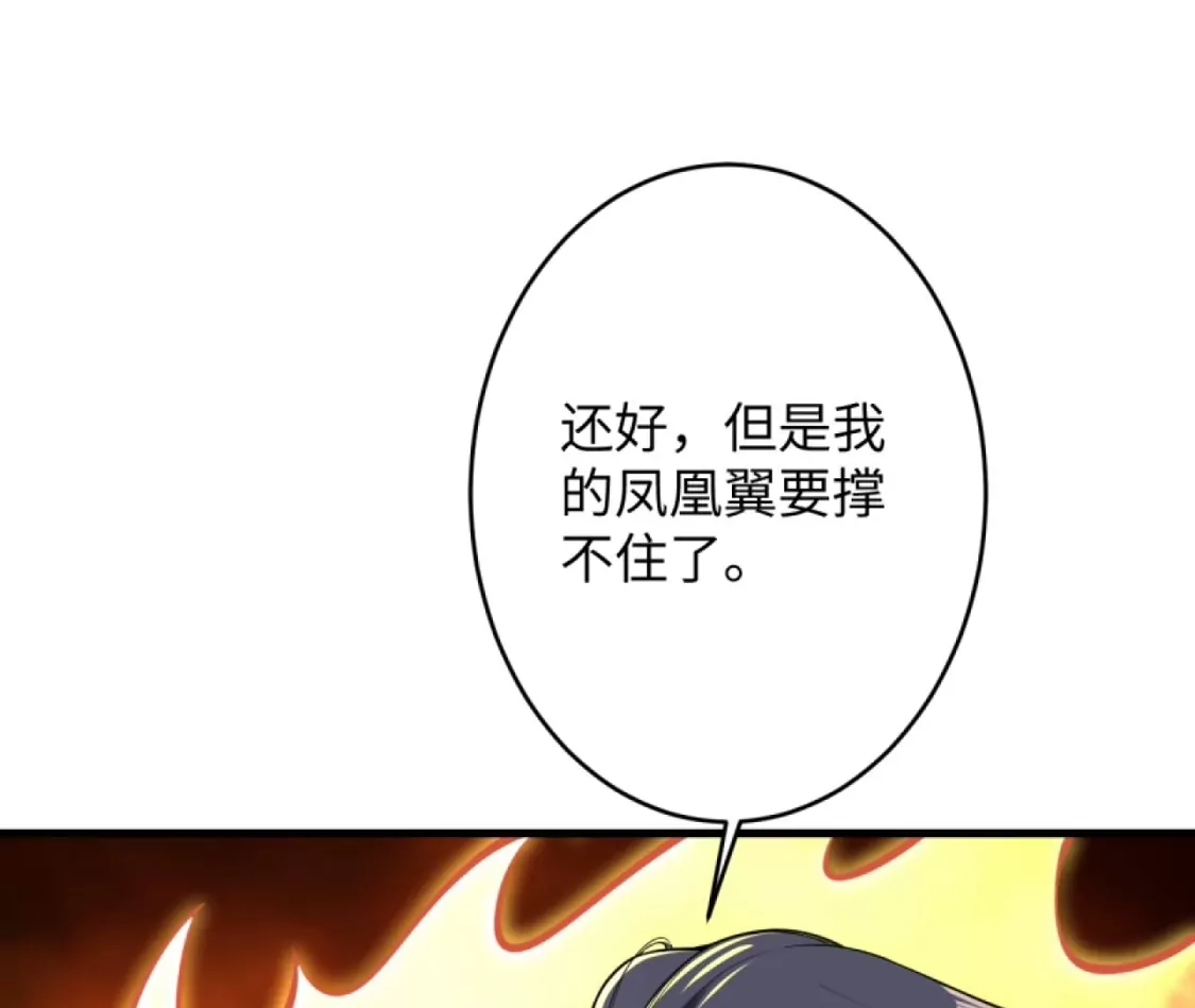 第224页