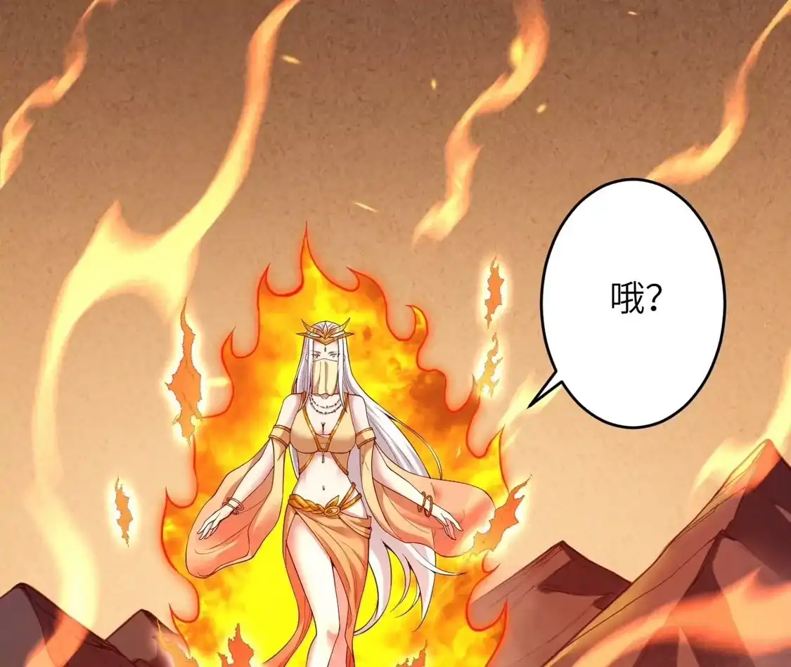 第204页