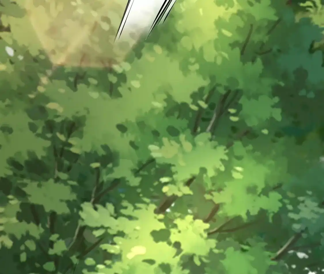 第871页