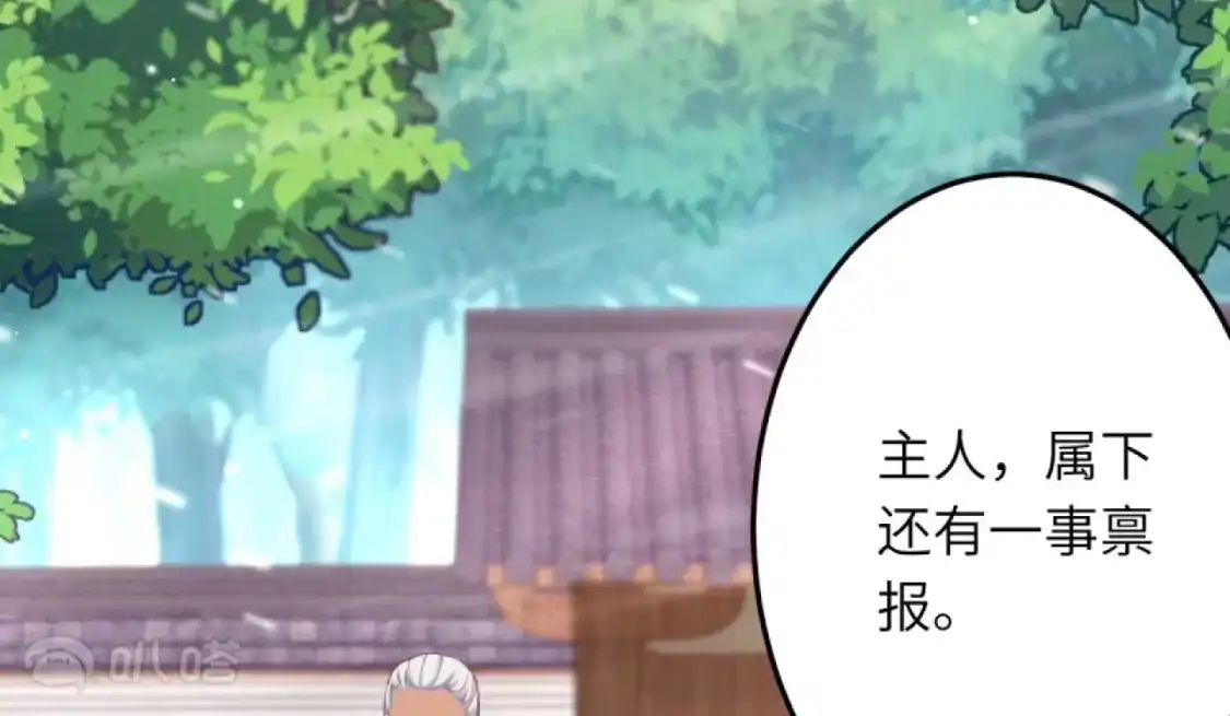 第255页