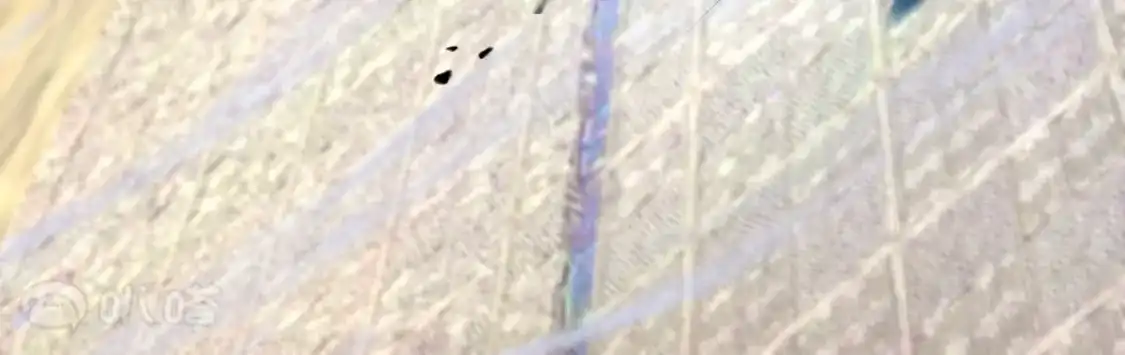 第626页