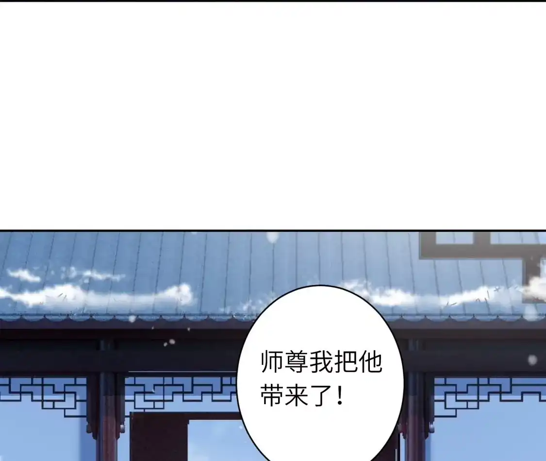 第535页