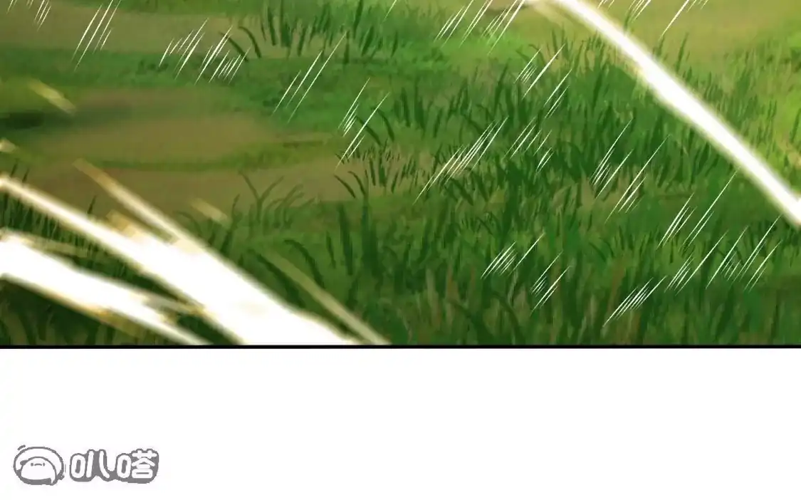 第542页