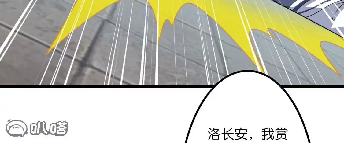 第206页