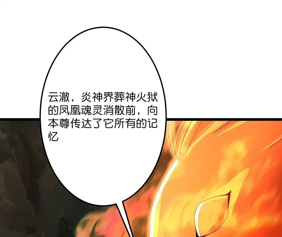 第493页