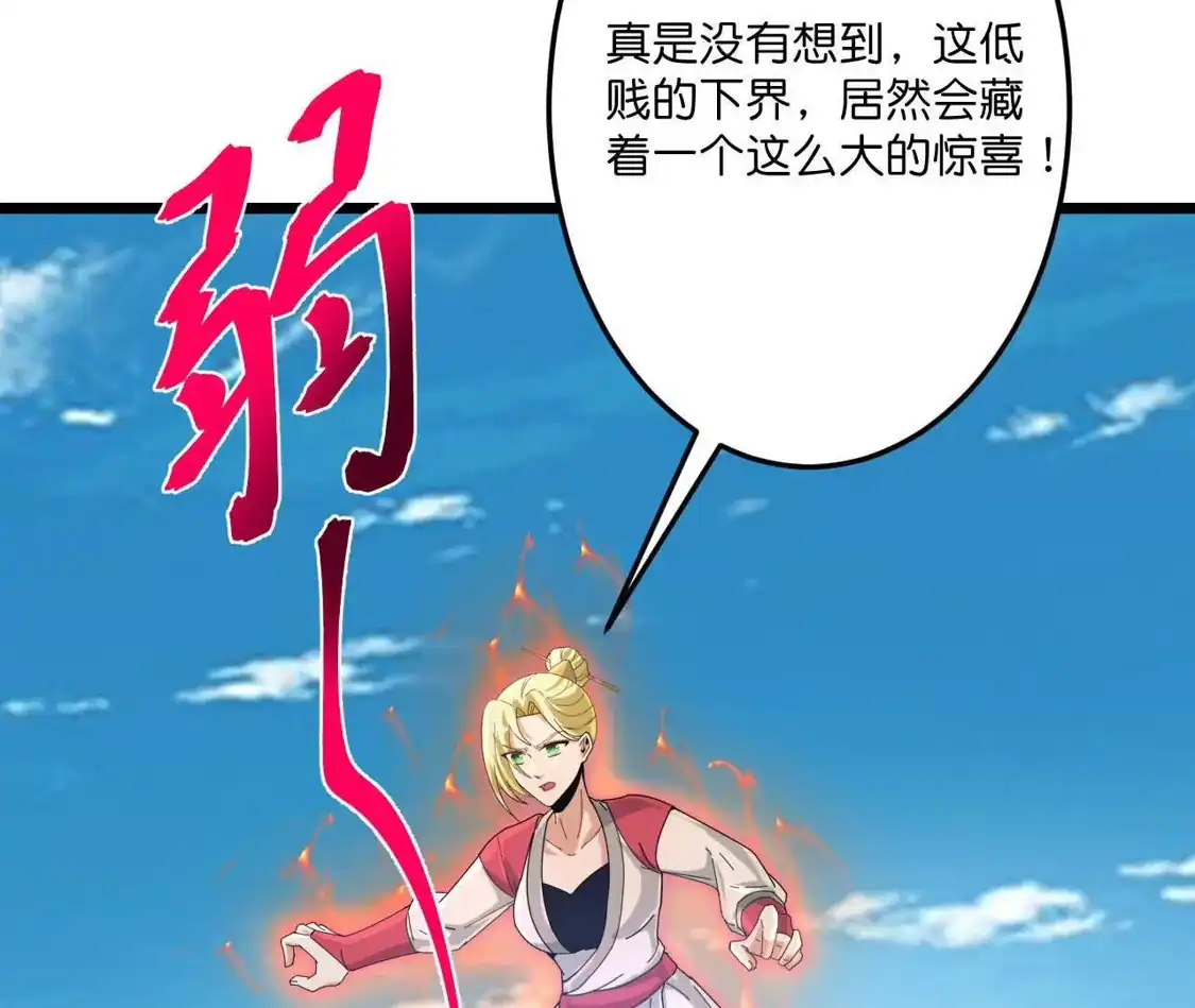 第206页