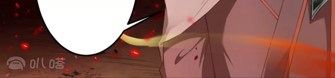 第224页