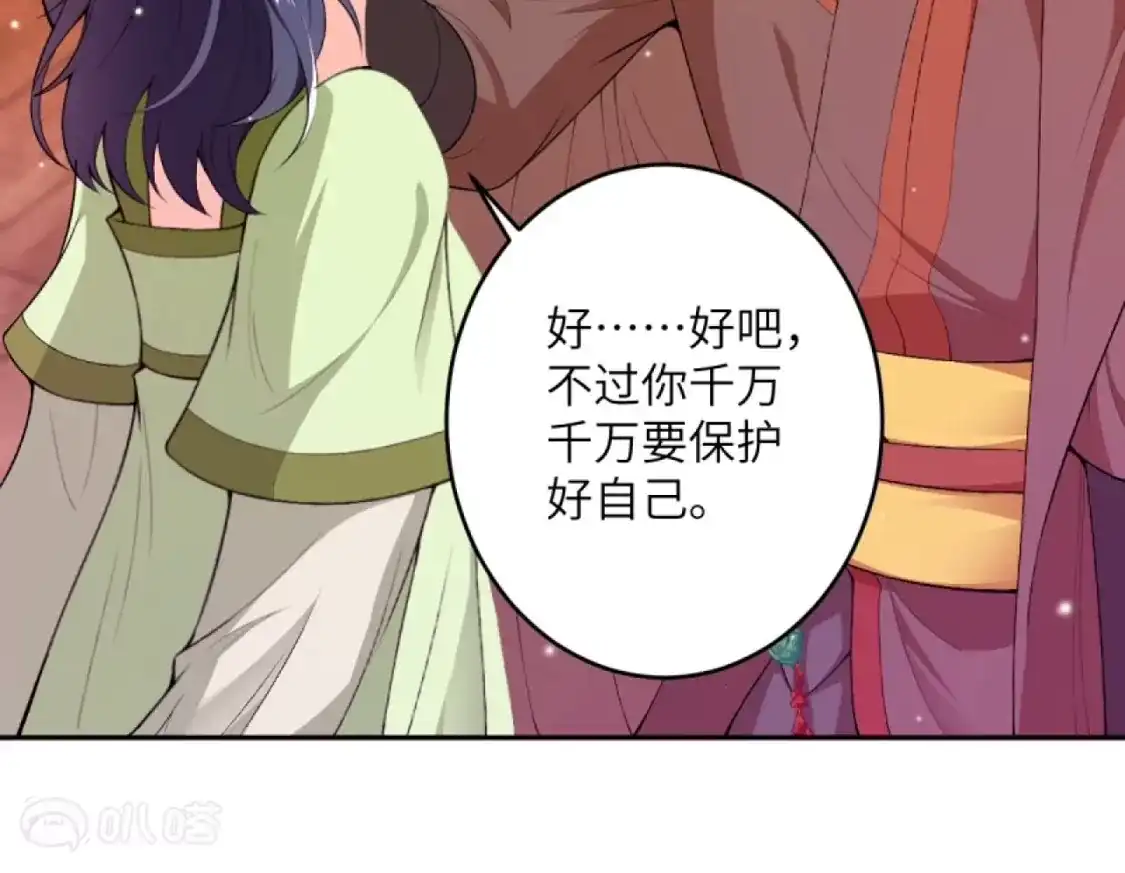 第204页