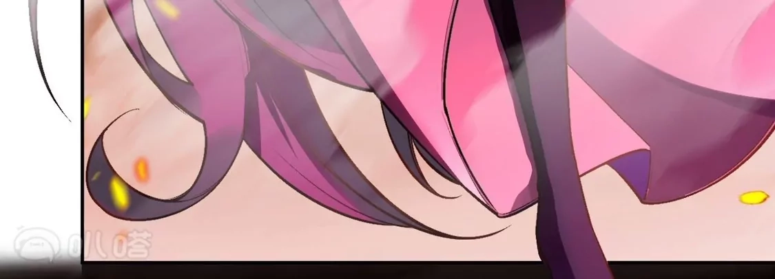 第215页