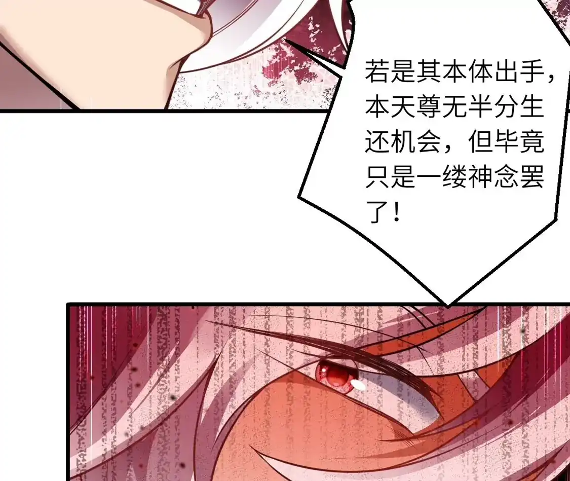 第446页