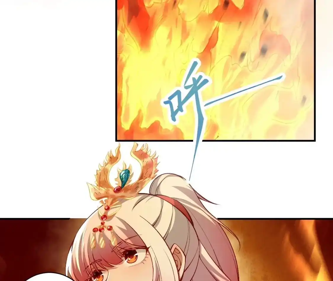 第215页