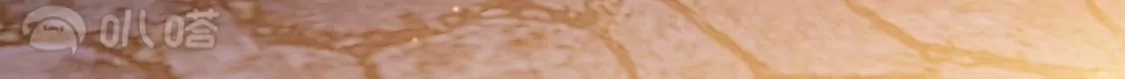 第646页