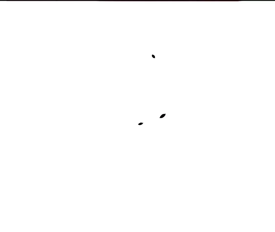第361页