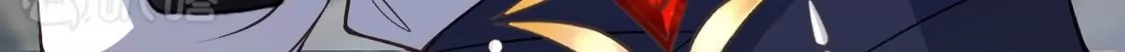 第333页