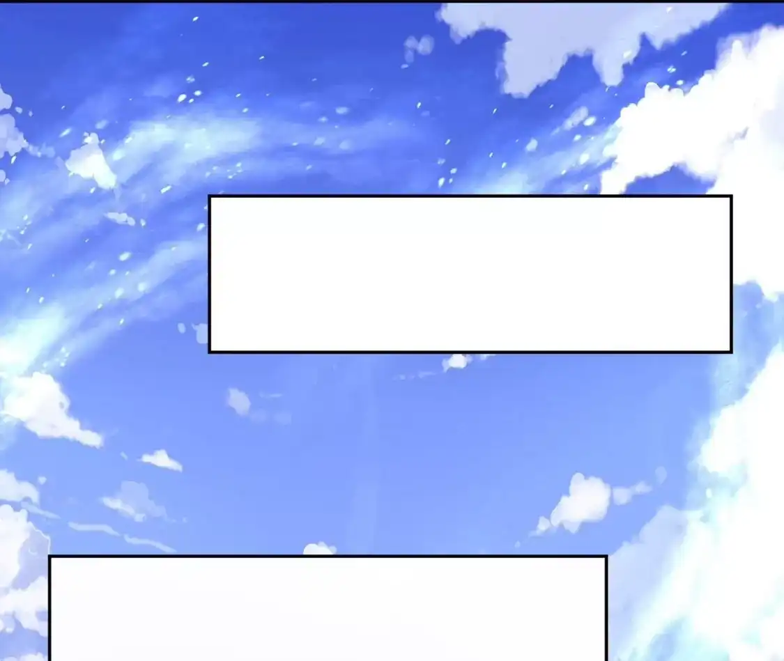 第446页