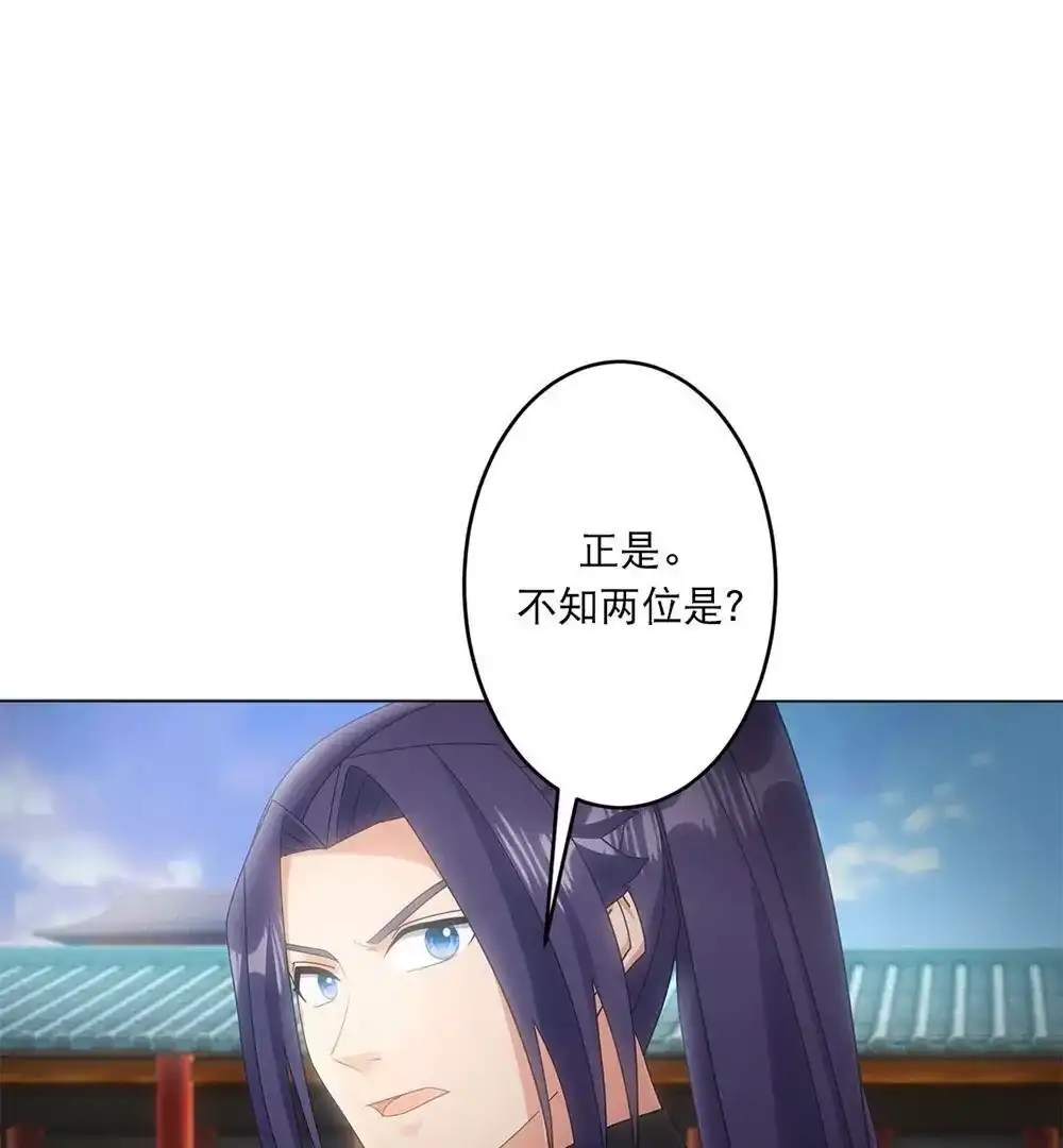 第242页