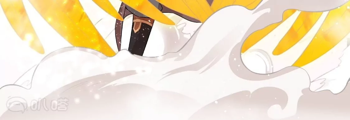 第260页