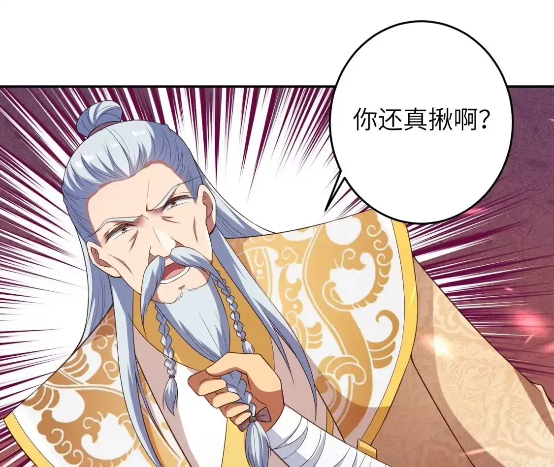 第204页