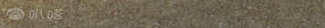 第477页