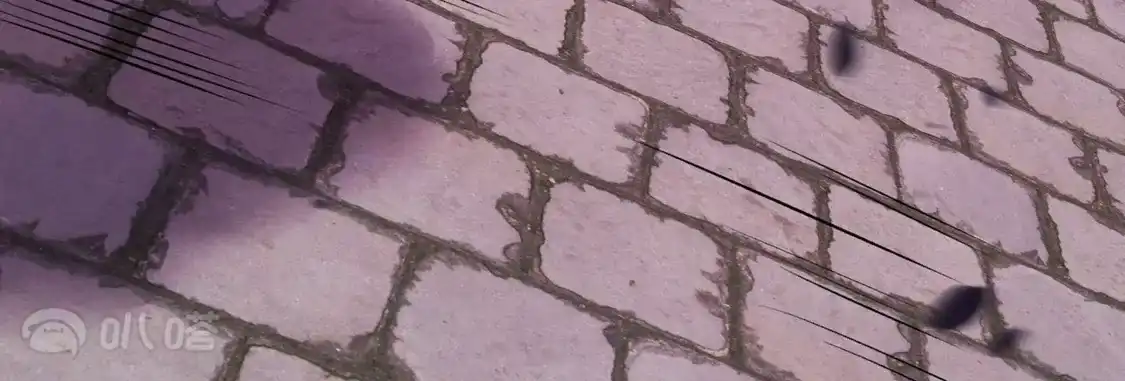 第939页
