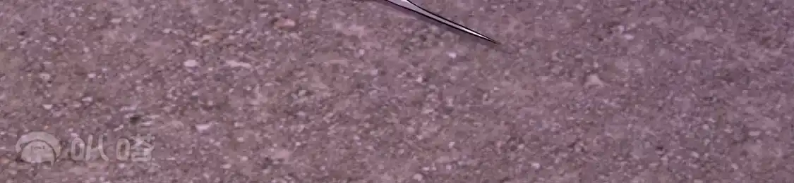 第890页