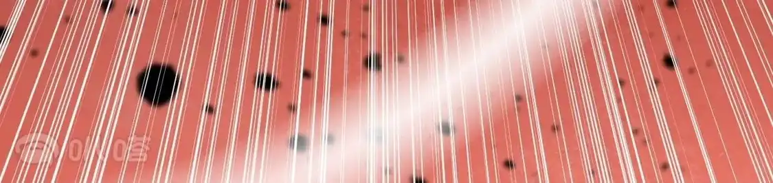 第442页