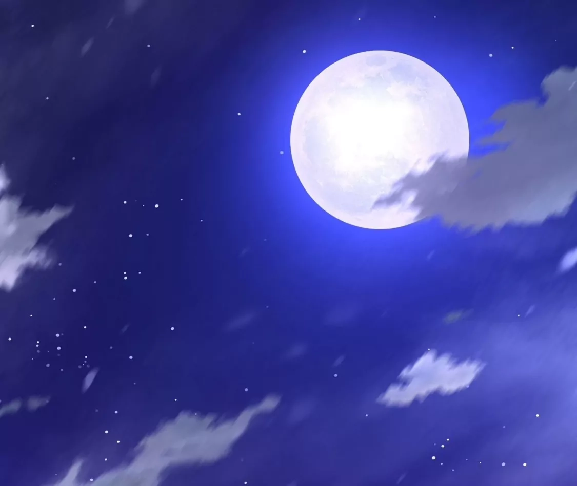 第295页