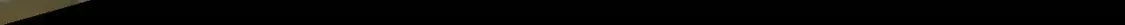 第919页