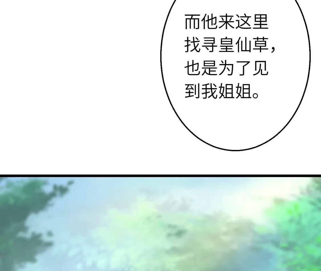第253页