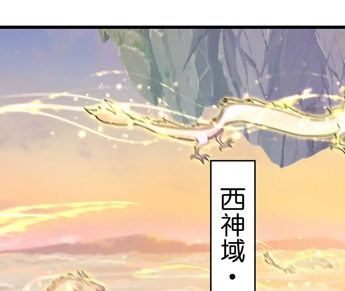 第260页