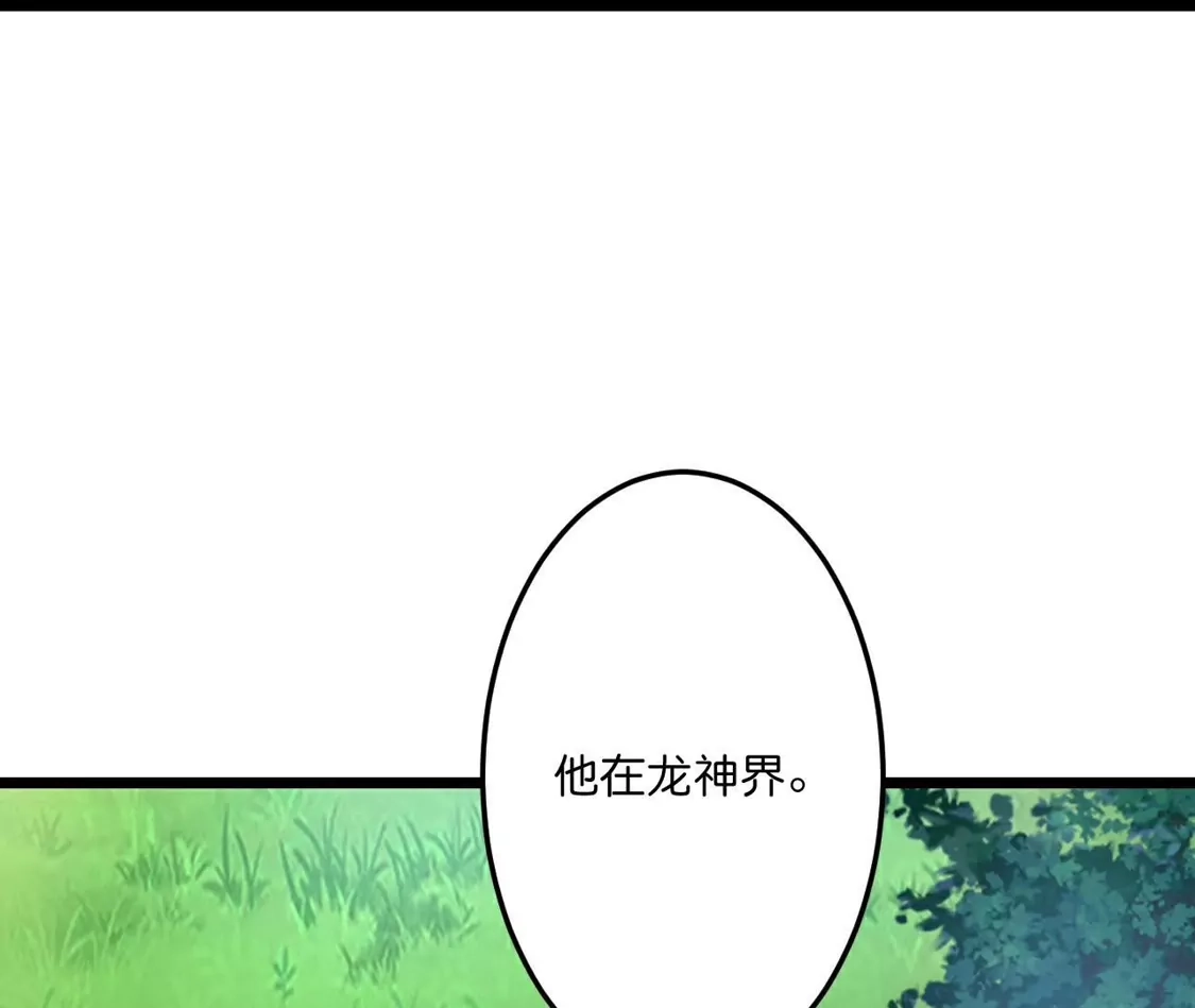 第955页