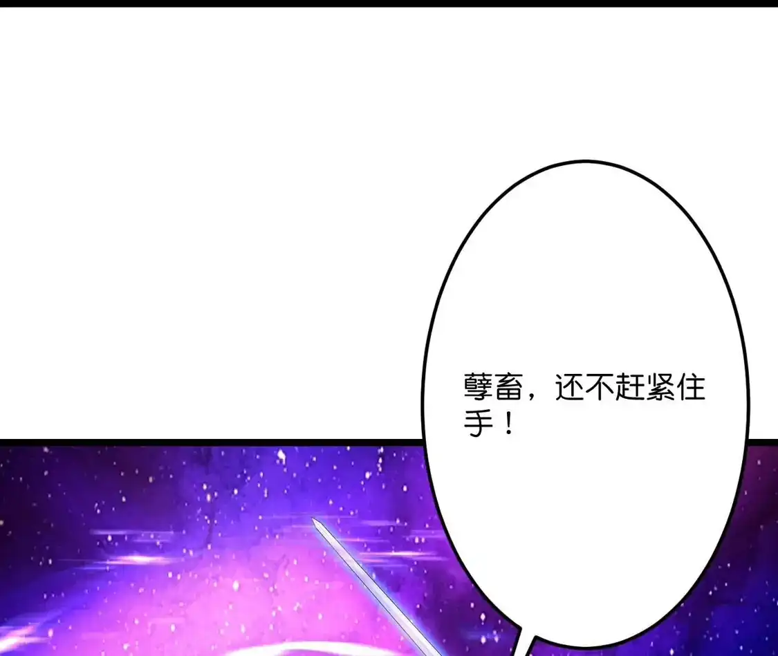 第351页