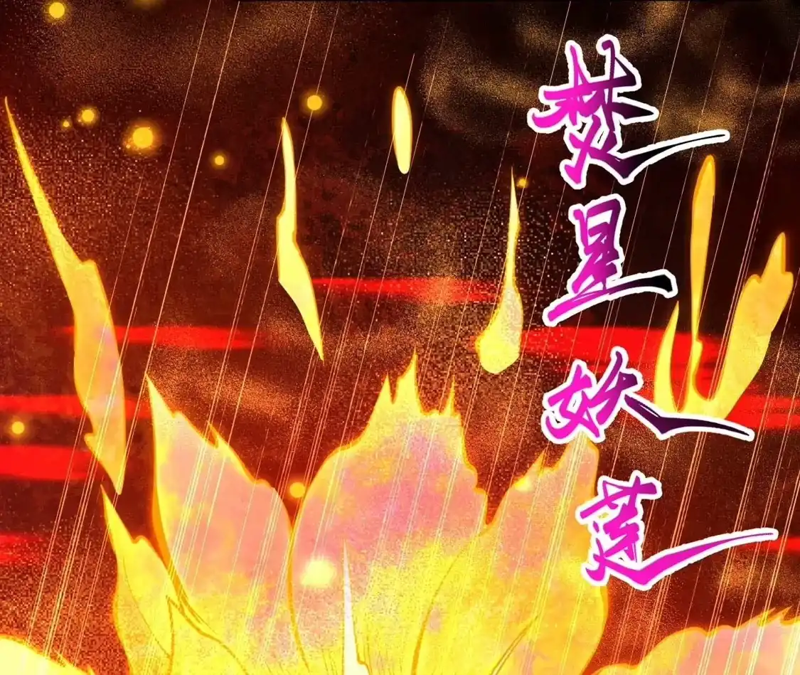 第455页