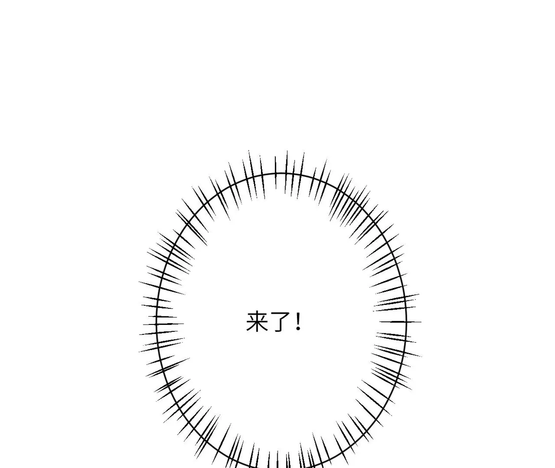 第533页
