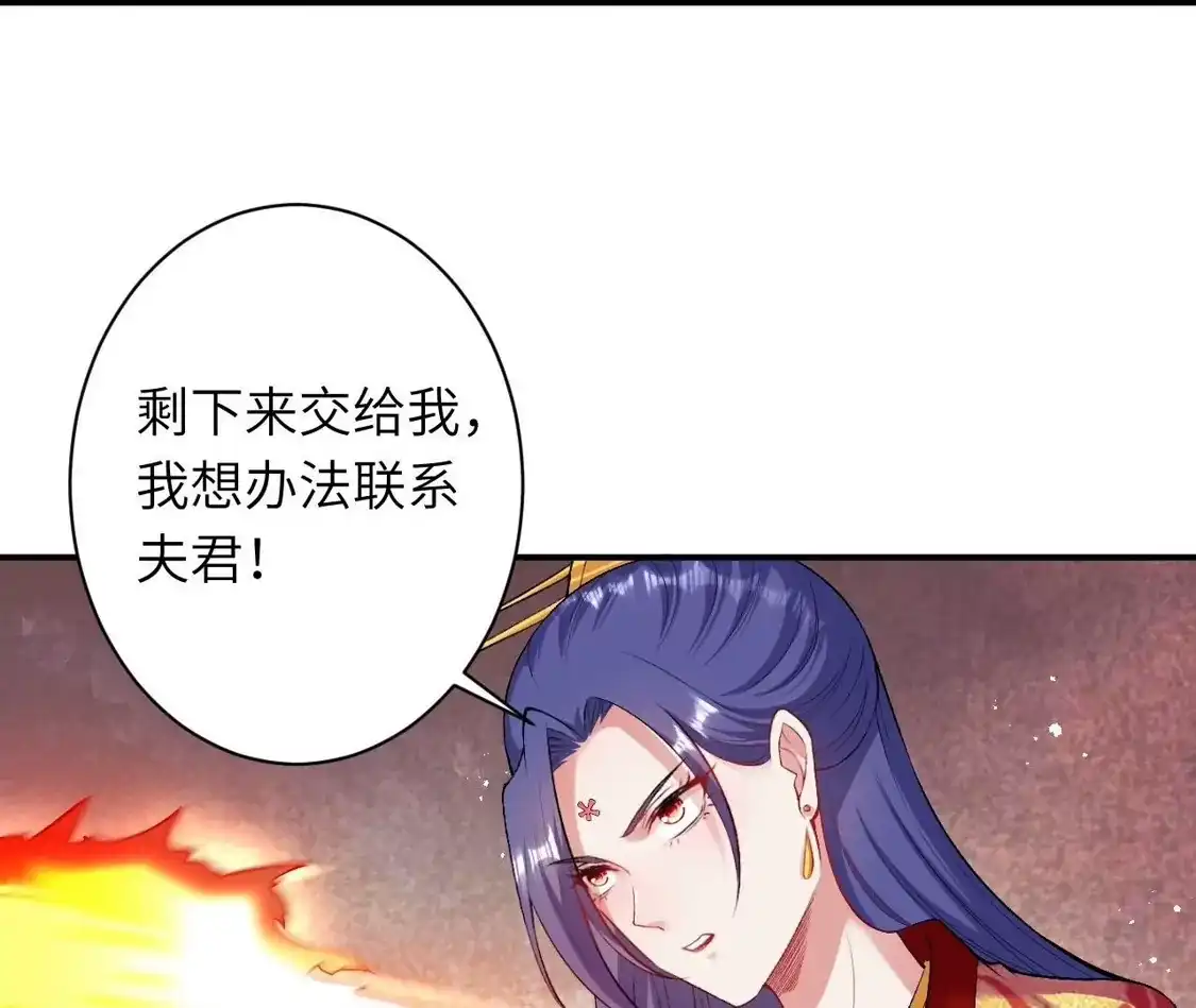 第516页