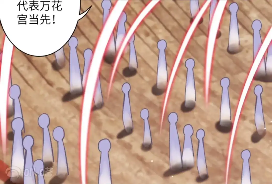 第243页