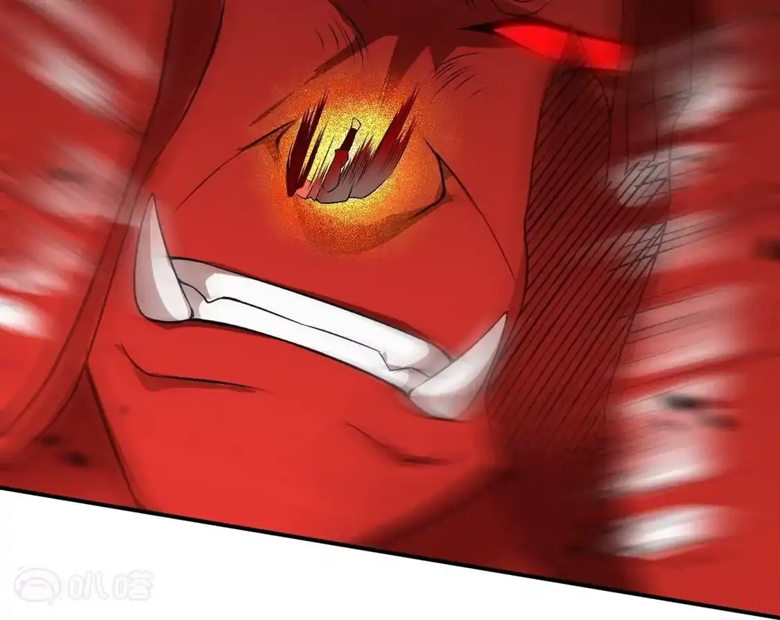 第216页