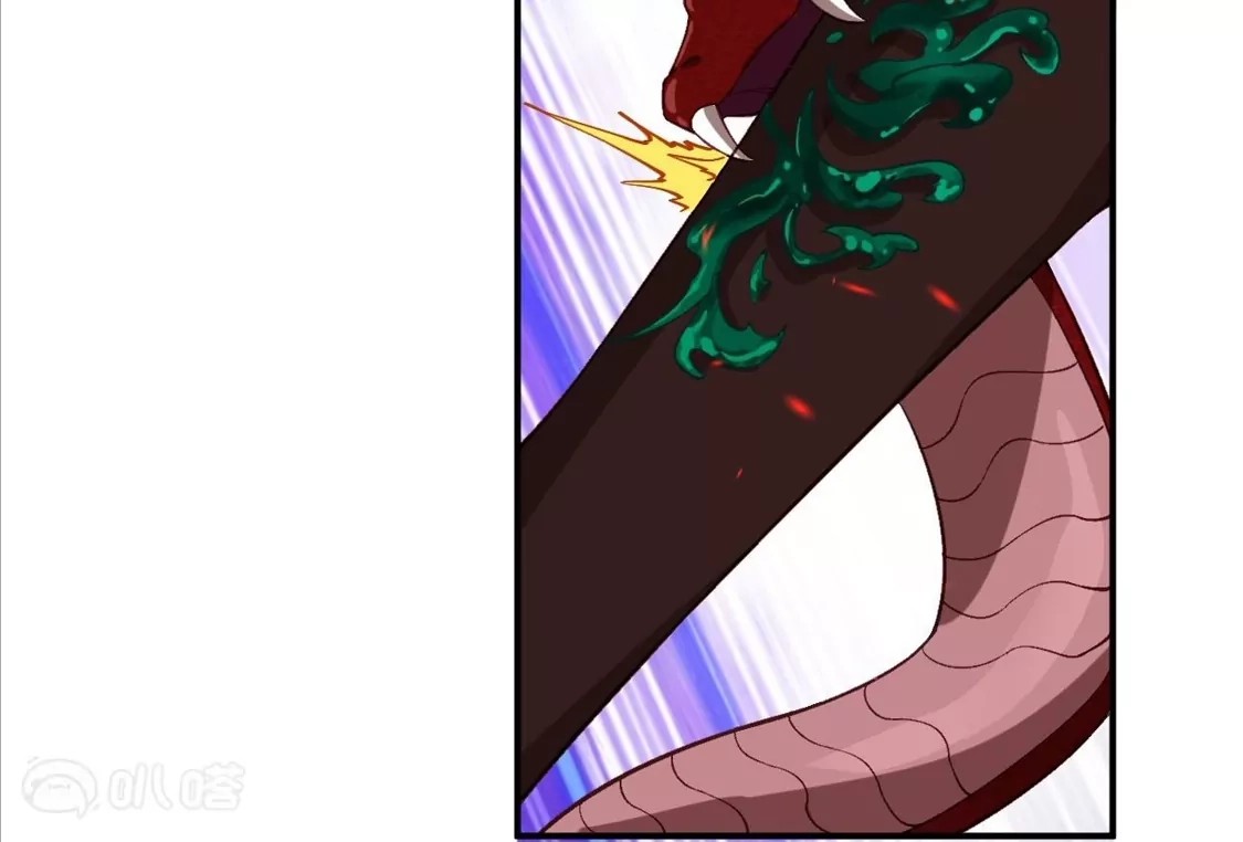 第446页