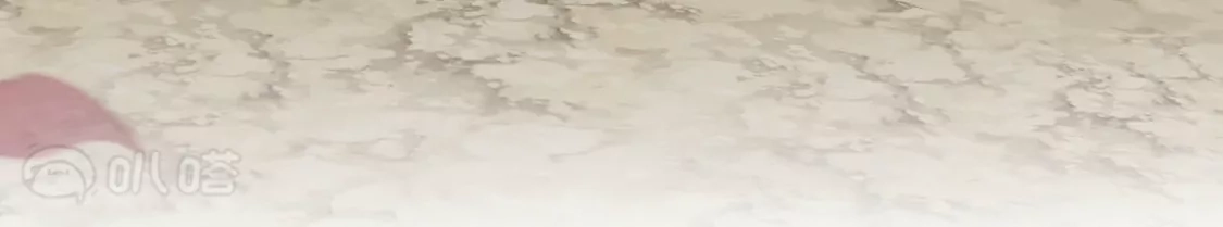 第482页