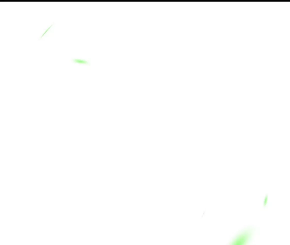 第194页