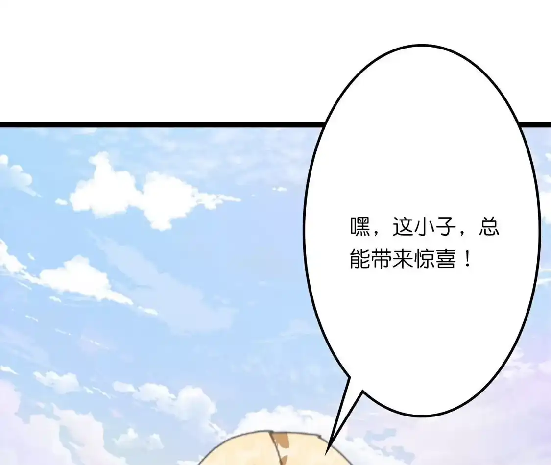第482页
