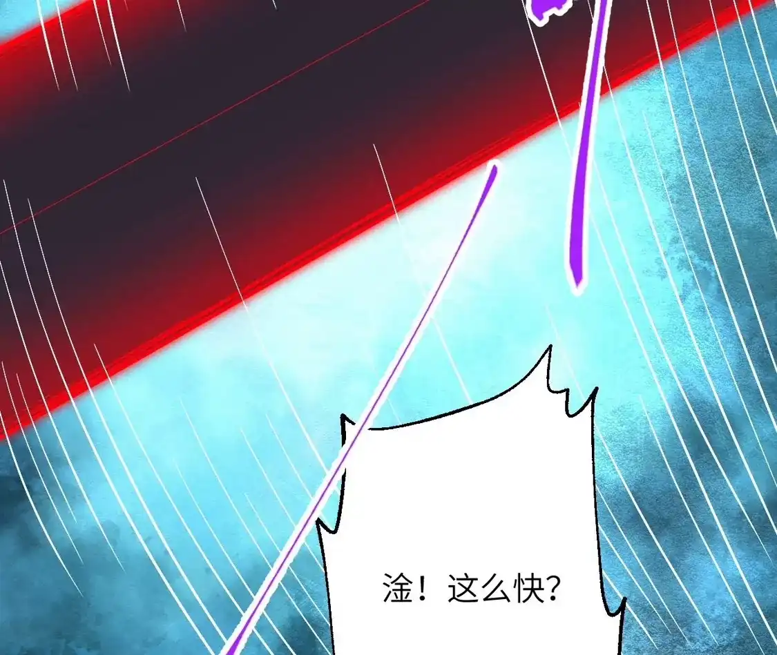 第567页
