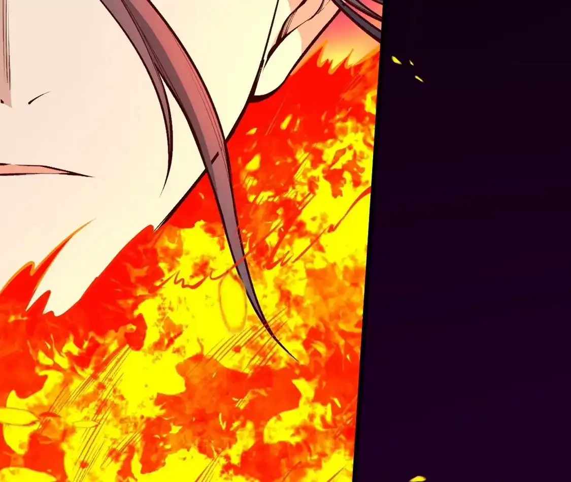第567页