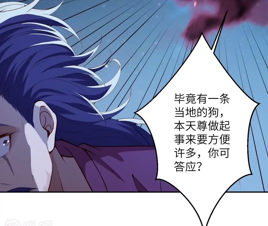 第567页